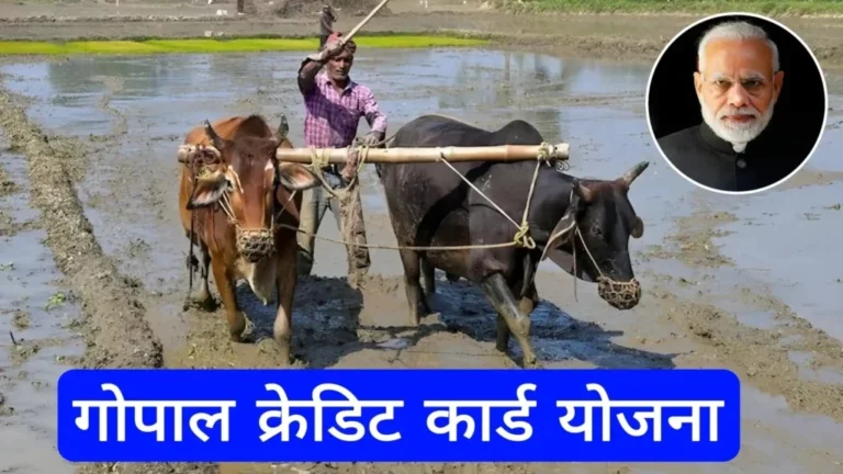 gopal credit card yojana