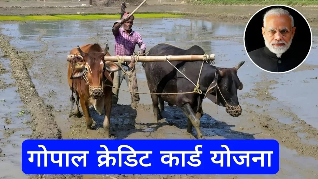 gopal credit card yojana
