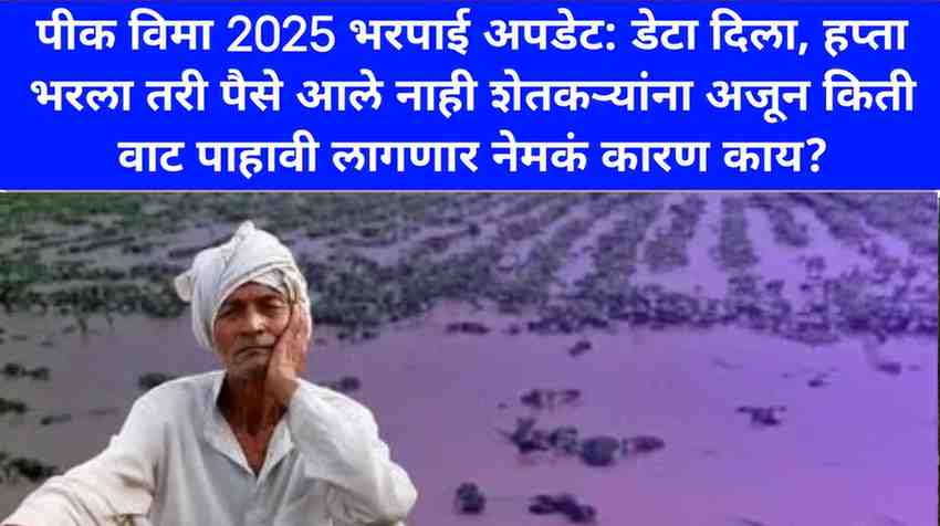 Pik vima Anudan yojana update