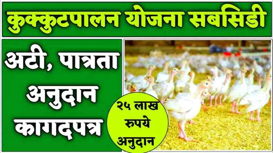 Poultry Farming Subsidy