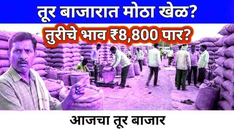 तूर ९,००० तर सोयाबीन ६,००० चा टप्पा पार करणार? जाणून घ्या कधी वाढणार भाव? Market Update 2026